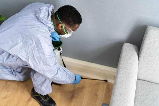 Trusted Boise City, OK Pest control Experts